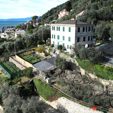 Cav Gli Ulivi Di Bogliasco Villa Eksteriør bilde