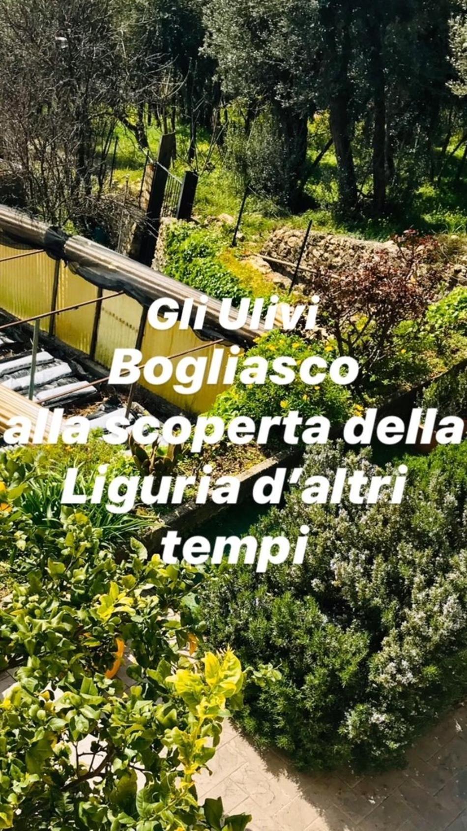 Cav Gli Ulivi Di Bogliasco Villa Eksteriør bilde