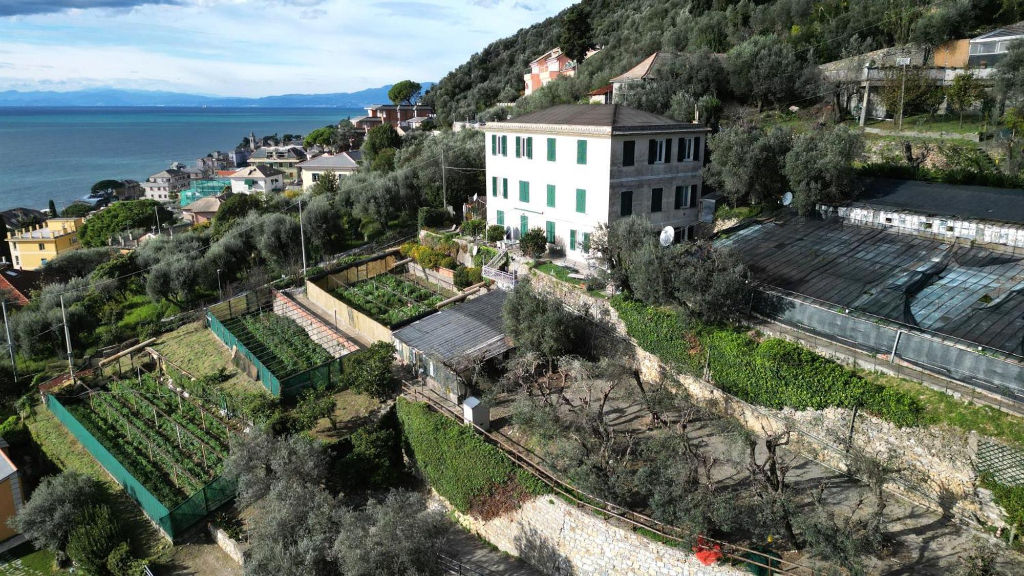 Cav Gli Ulivi Di Bogliasco Villa Eksteriør bilde