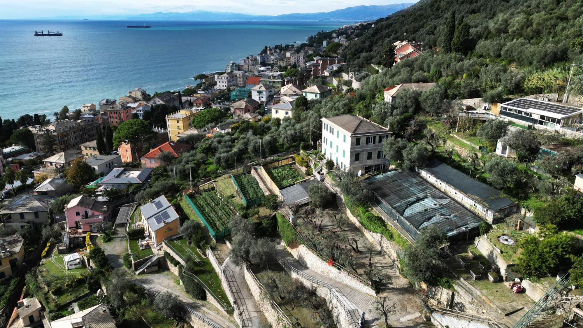 Cav Gli Ulivi Di Bogliasco Villa Eksteriør bilde